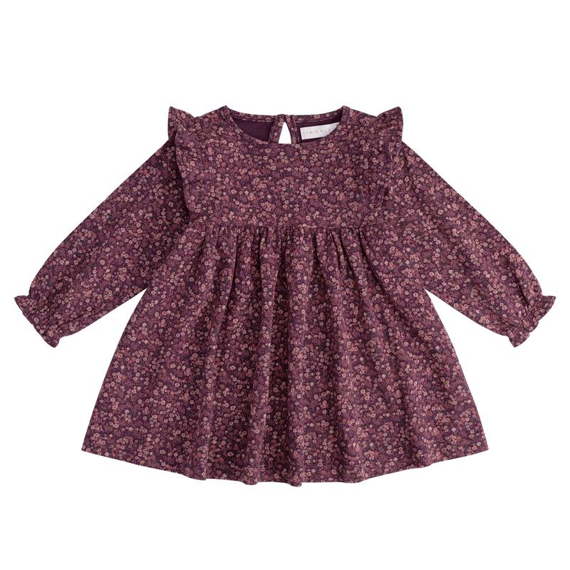 Jamie Kay Organic Cotton Frankie Dress 6M-2Y image number 0